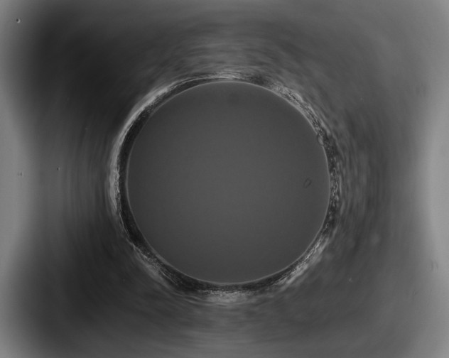 X0000087700342200705111407