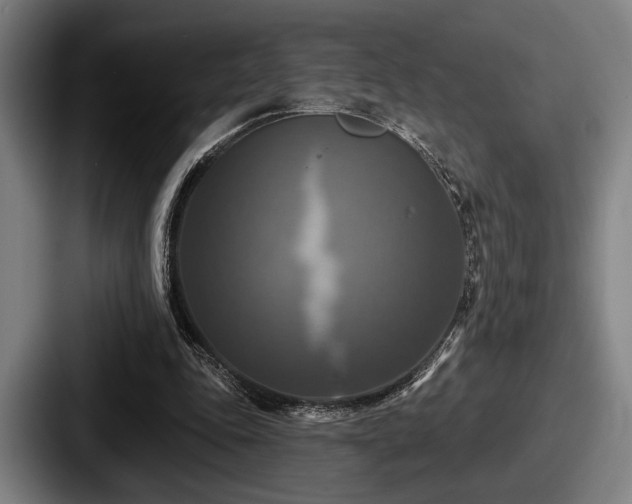 X0000087700343200705111407