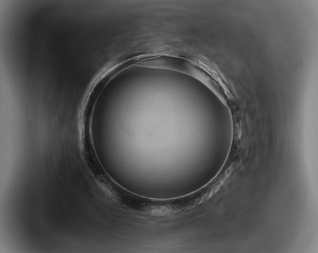 X0000087700344200705111407