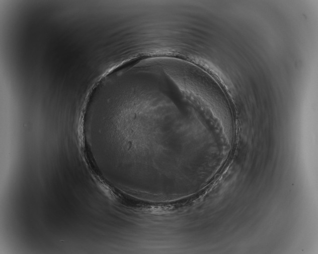 X0000087700345200705111407