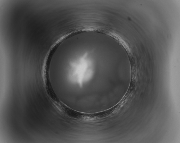 X0000087700346200705111407