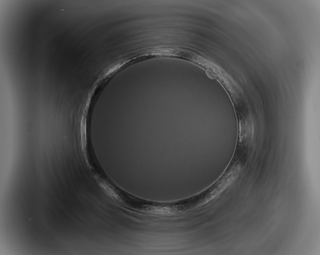 X0000087700349200705111407