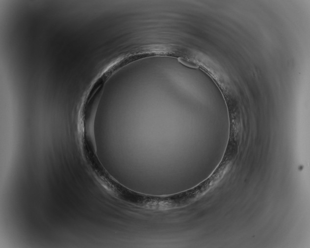 X0000087700350200705111407