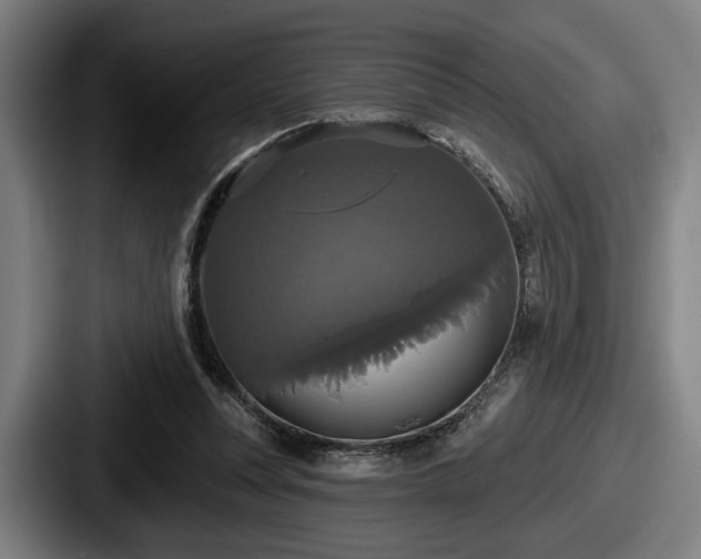 X0000087700351200705111407