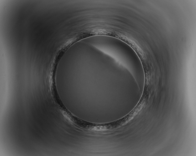 X0000087700353200705111407