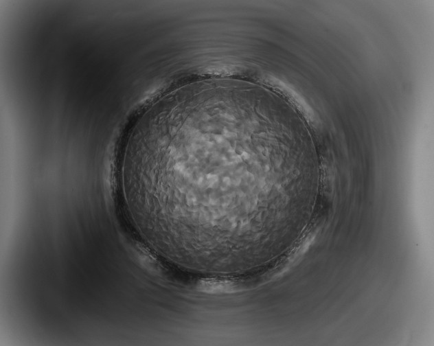 X0000087700354200705111407