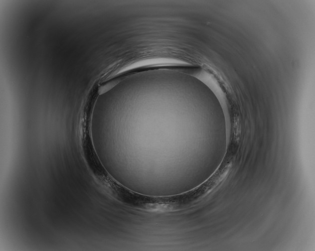 X0000087700356200705111407