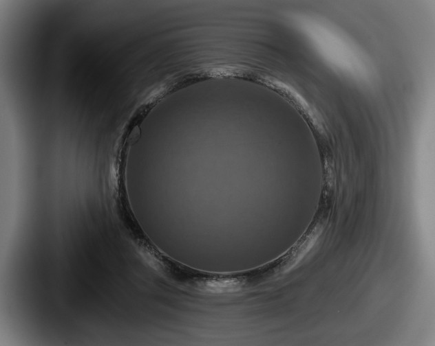 X0000087700357200705111407