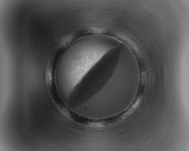 X0000087700358200705111407