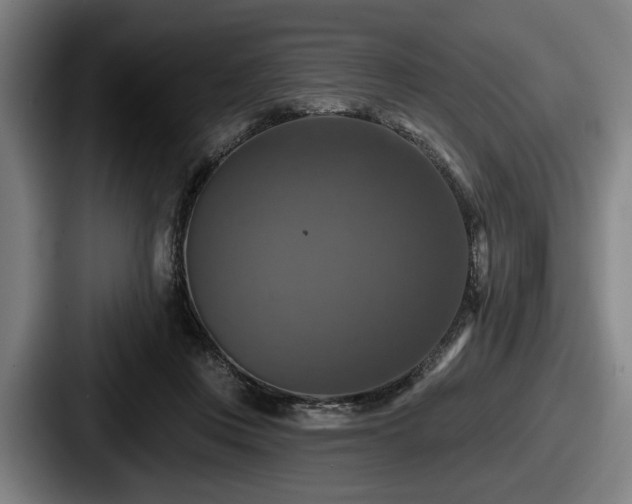 X0000087700359200705111407