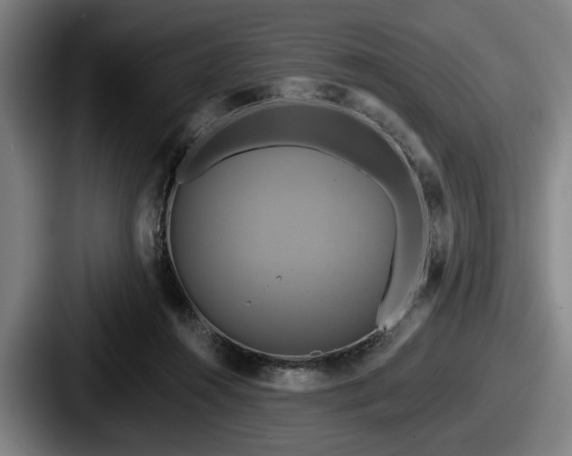 X0000087700360200705111407