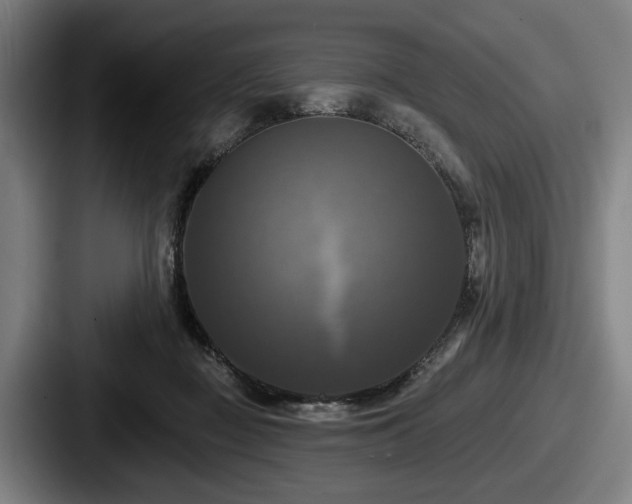 X0000087700363200705111407