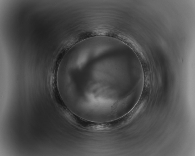 X0000087700365200705111407