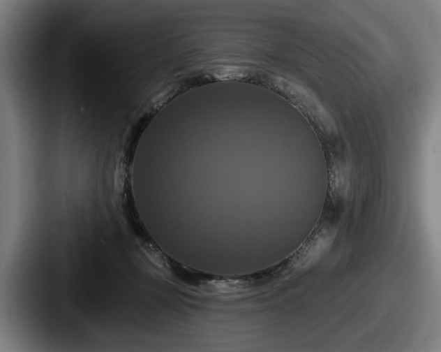 X0000087700367200705111407