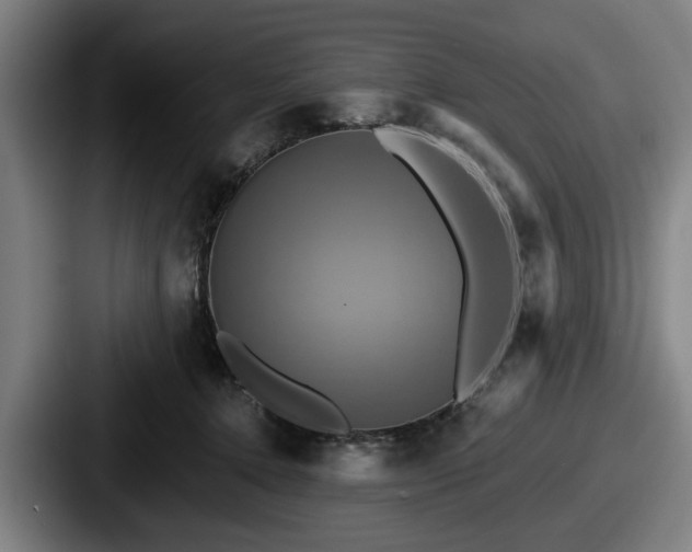 X0000087700368200705111407