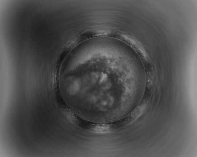 X0000087700369200705111407