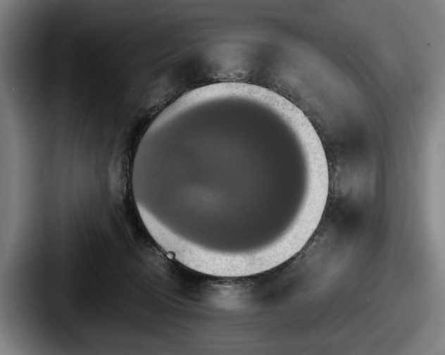 X0000087700370200705111407