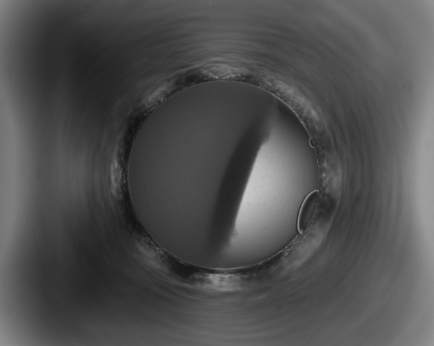 X0000087700371200705111407