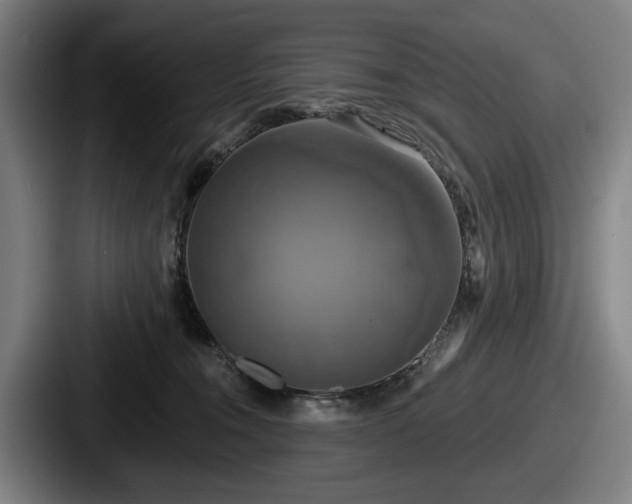 X0000087700372200705111407