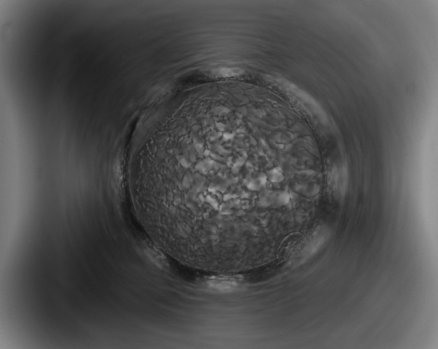 X0000087700373200705111407