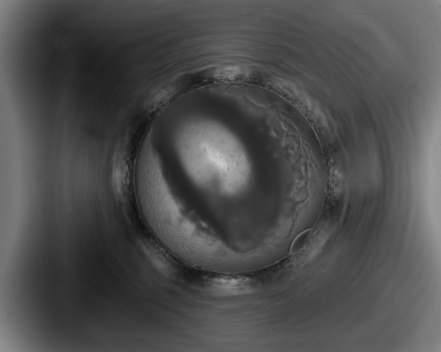 X0000087700375200705111407