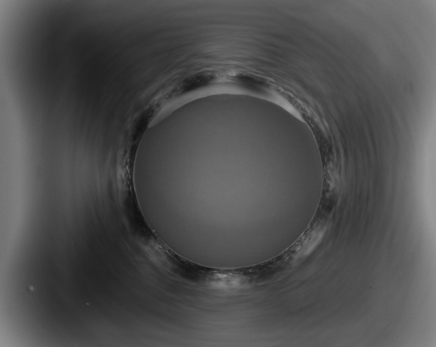 X0000087700376200705111407