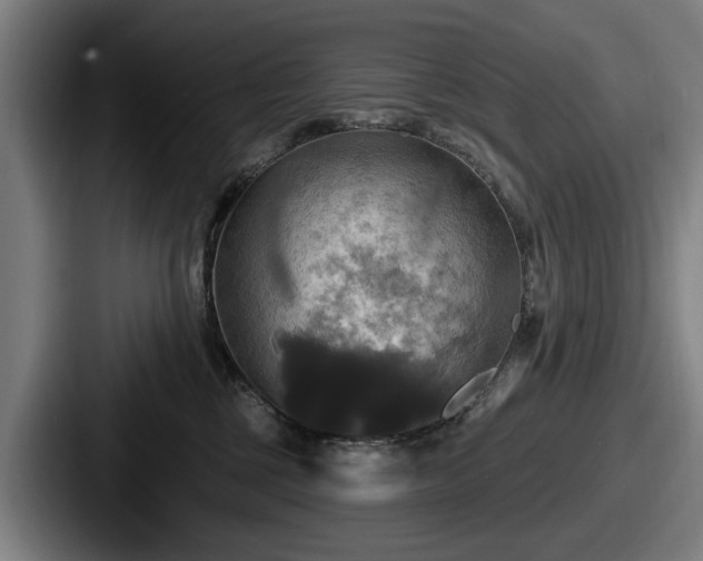 X0000087700377200705111407