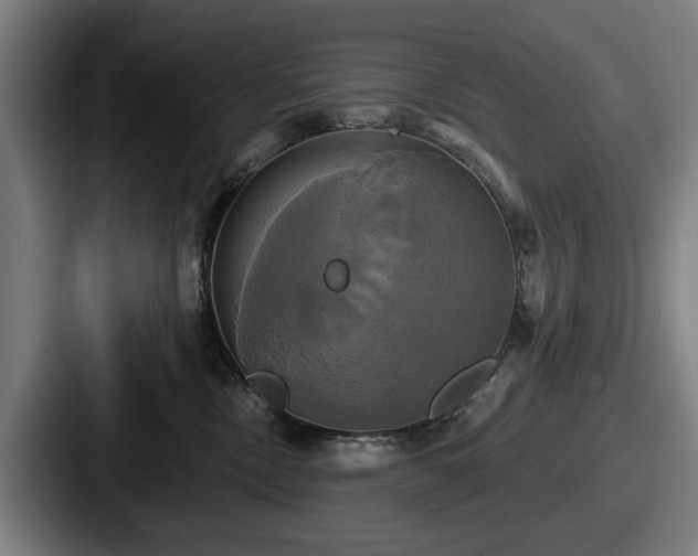 X0000087700378200705111407