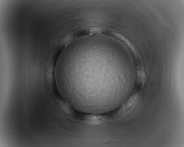 X0000087700379200705111407