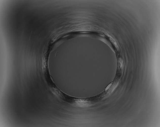 X0000087700380200705111407