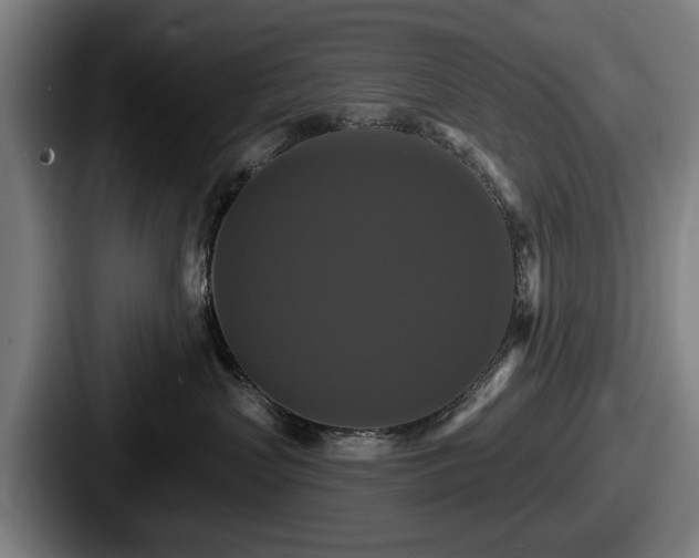 X0000087700383200705111407