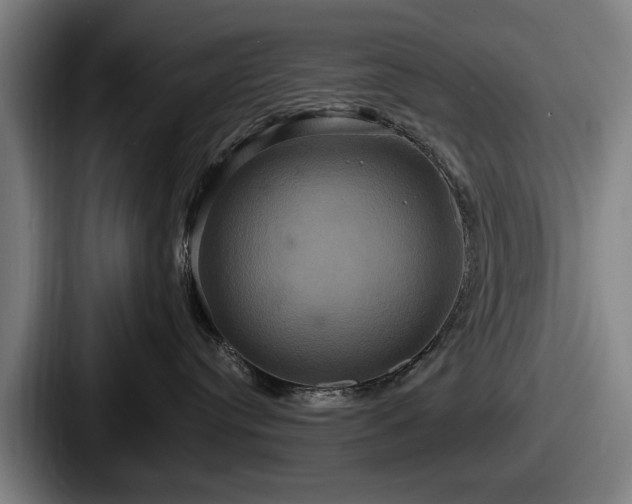 X0000087700384200705111407