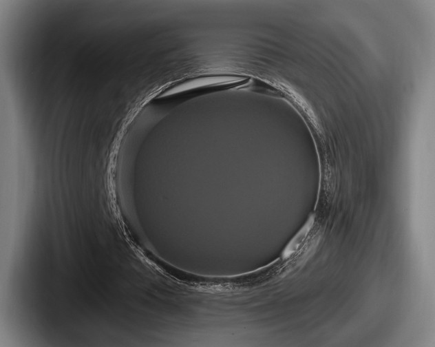 X0000087700385200705111407