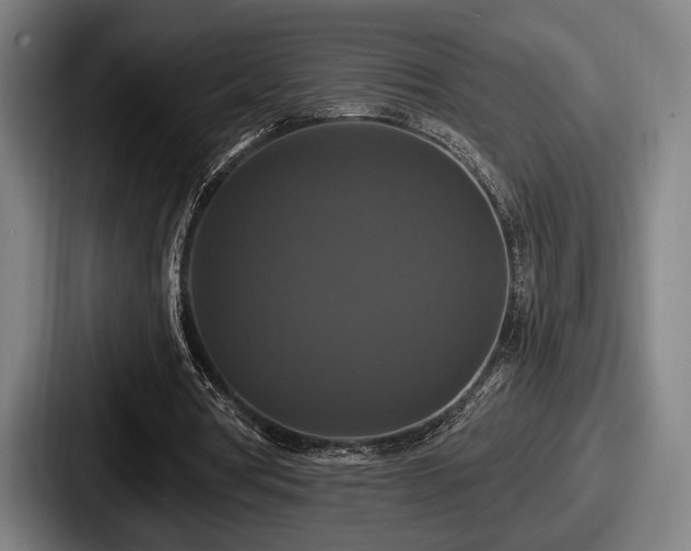 X0000087700386200705111407