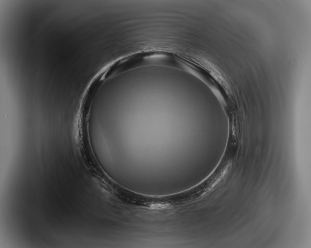 X0000087700388200705111407