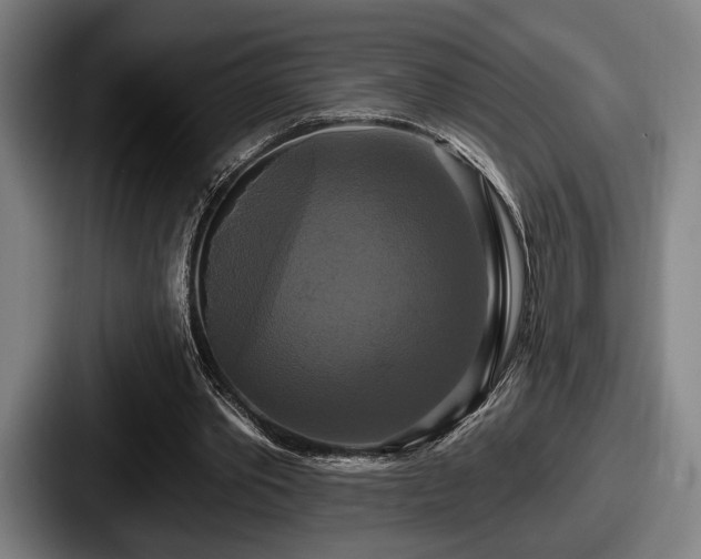 X0000087700389200705111407