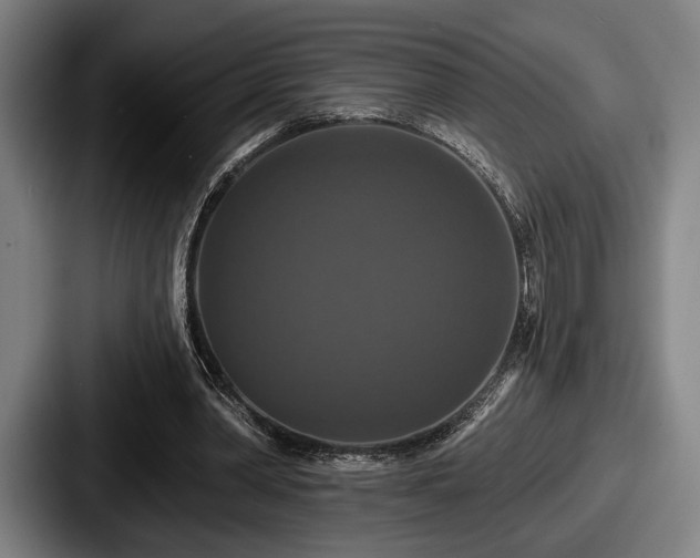 X0000087700390200705111407