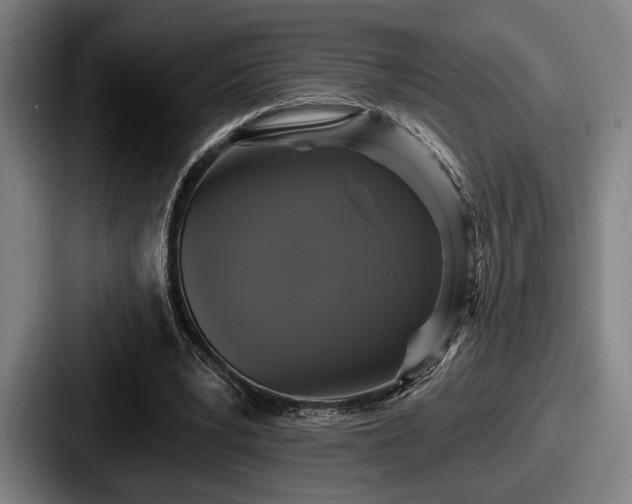 X0000087700391200705111407