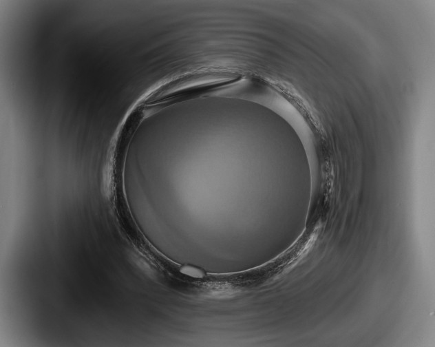 X0000087700392200705111407