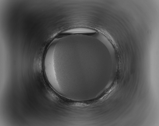 X0000087700393200705111407