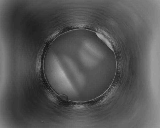 X0000087700394200705111407