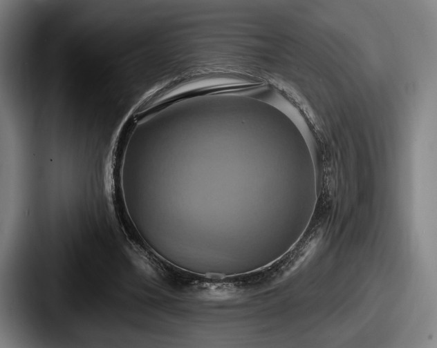 X0000087700395200705111407