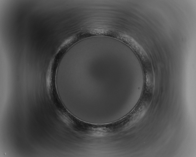 X0000087700396200705111407