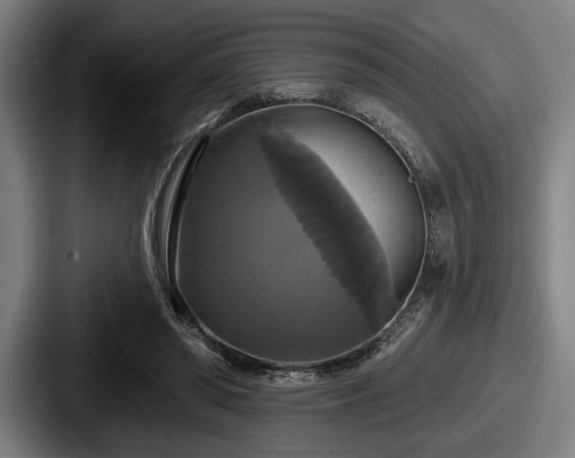 X0000087700398200705111407