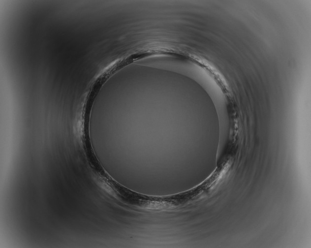 X0000087700399200705111407