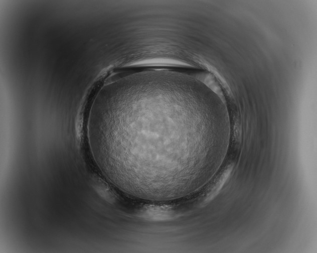 X0000087700403200705111407