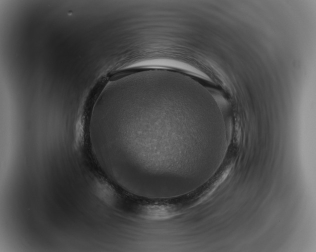 X0000087700404200705111407