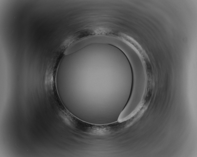 X0000087700405200705111407