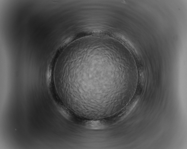 X0000087700406200705111407