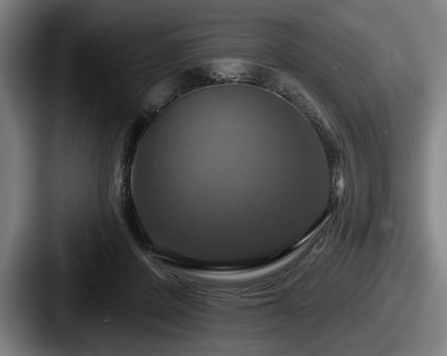 X0000087700408200705111407